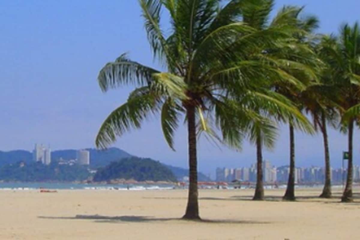 Una playa con palmeras y un horizonte con edificios.