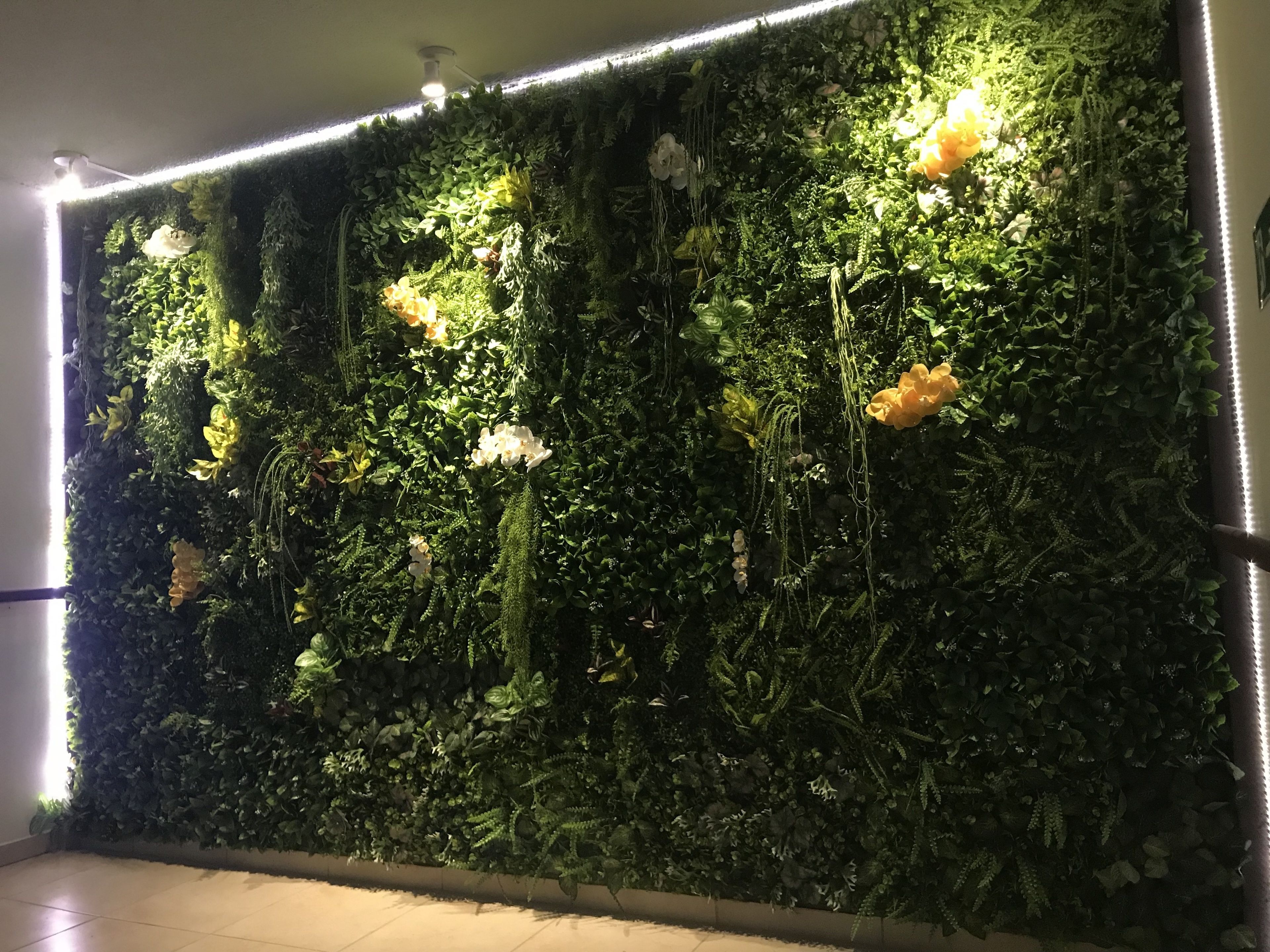 Foto - Pousada Iandê