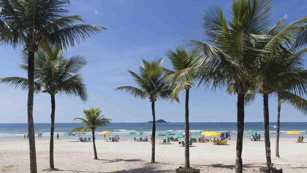 Une plage bordée de palmiers et parsemée de parasols.