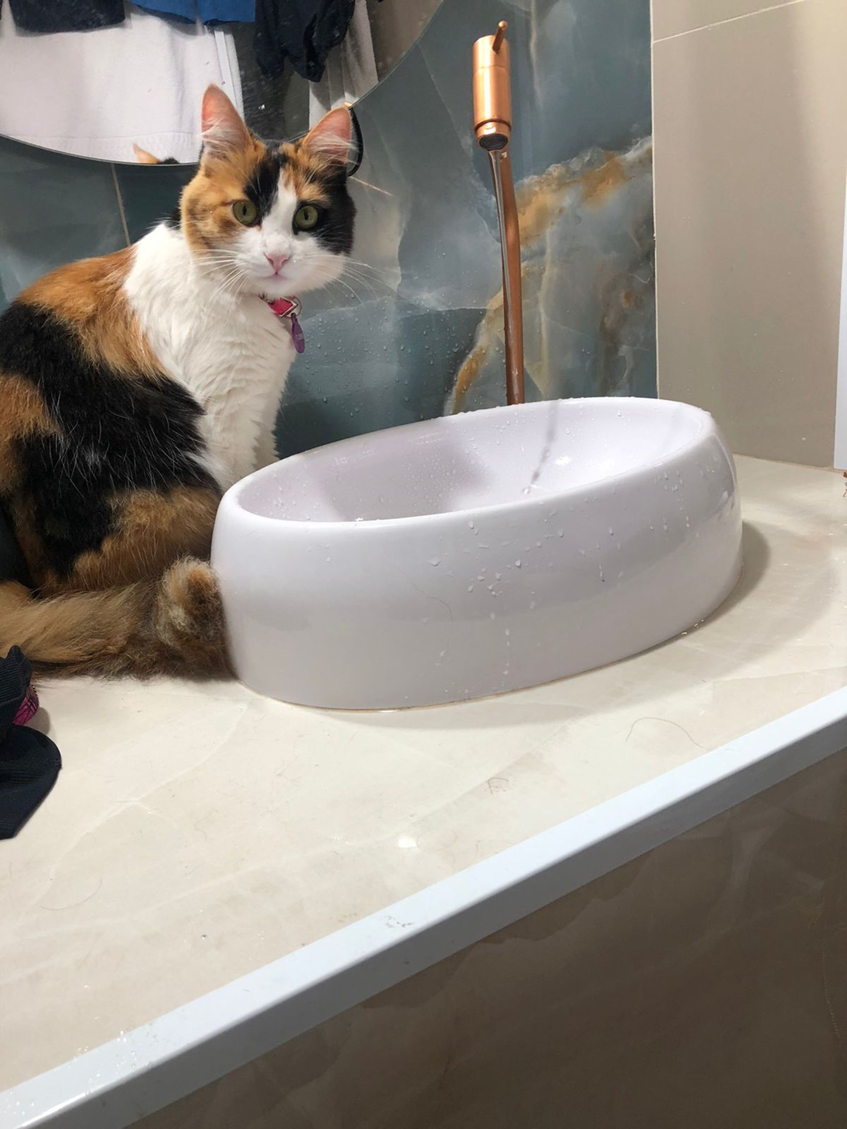 Photo - Costa Maris Beach Hotel Frente Mar