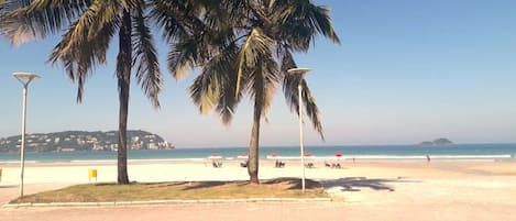 Plage à proximité, sable blanc, chaises longues, parasols