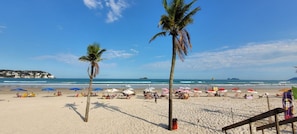 Plage à proximité, sable blanc, chaises longues, parasols