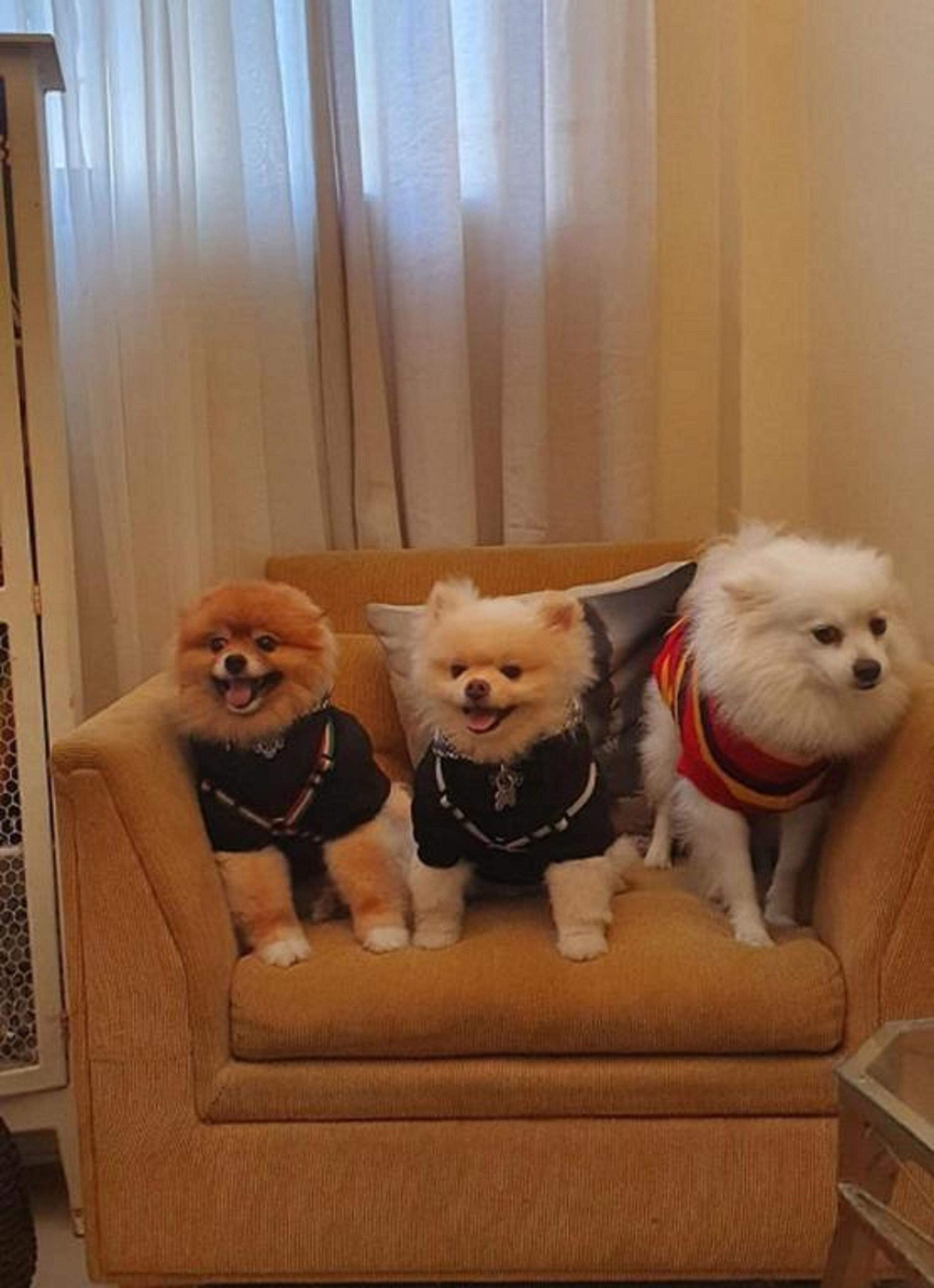 Photo - Costa Maris Beach Hotel Frente Mar