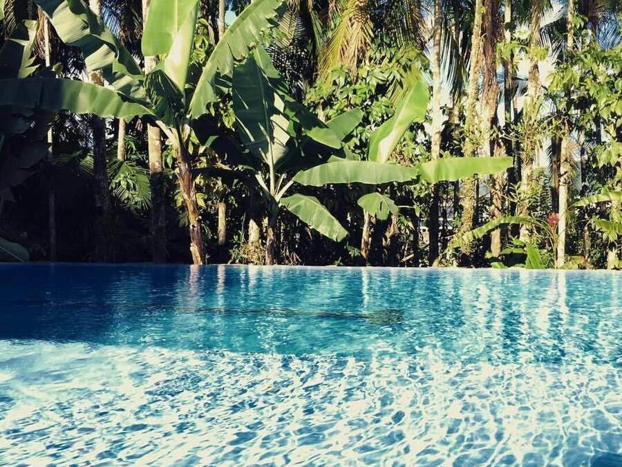 Una piscina azul cristalina rodeada de exuberante vegetación tropical.