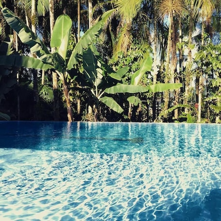 Una piscina al aire libre, sombrillas, sillones reclinables de piscina