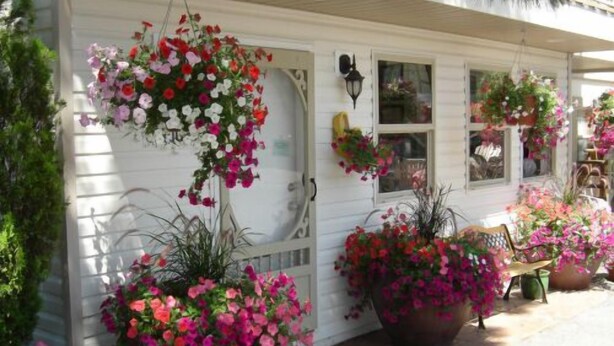 Un bâtiment blanc orné de nombreux jardinières suspendues et de plantes en pot sur le porche.