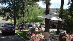 Un espace de stationnement avec plusieurs voitures, des tables et chaises à l’extérieur, protégées par des parasols, et des plantes en pot.
