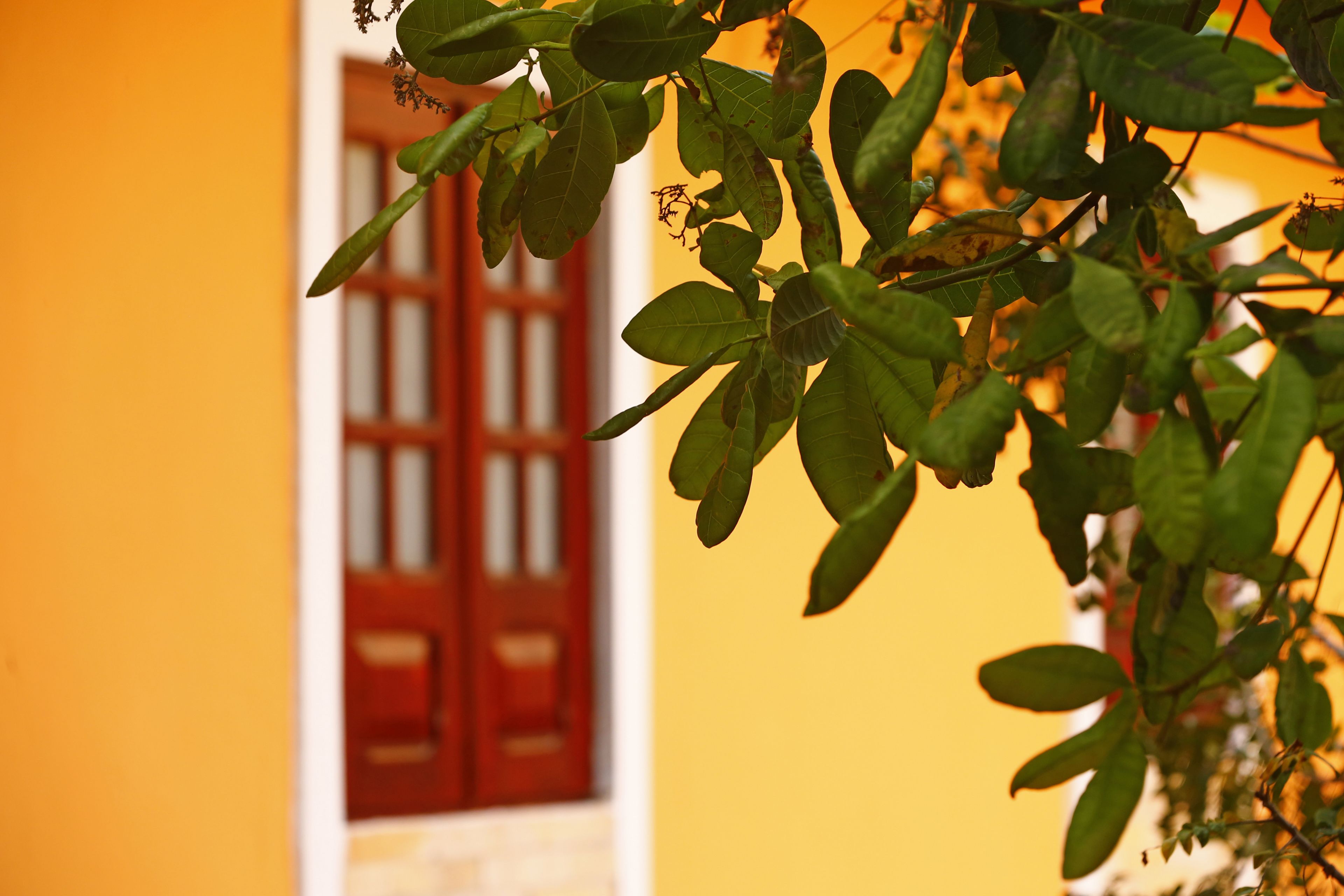 Photo - Pousada Casamar