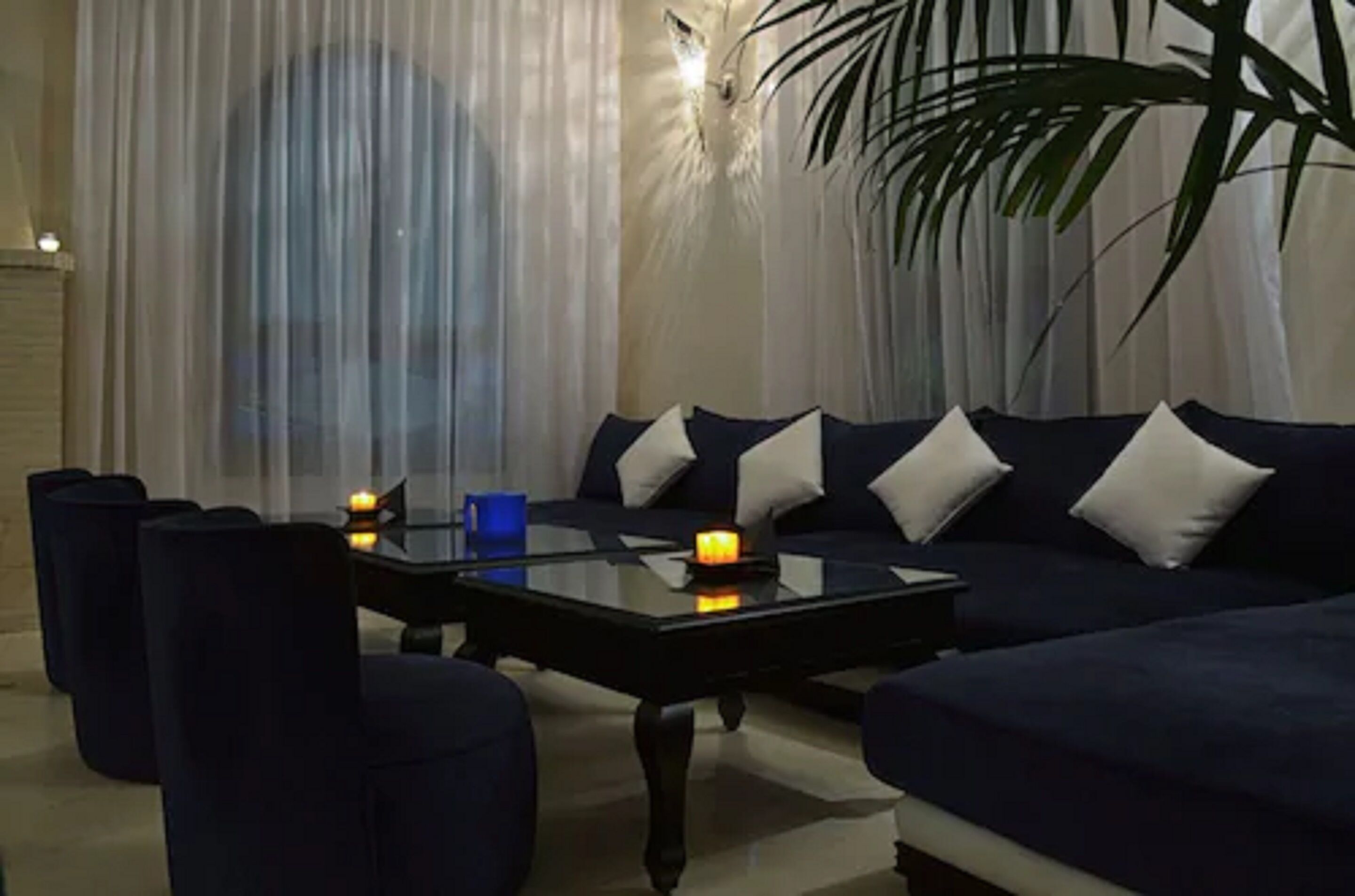 A modern living room with a dark blue sofa set, a glass coffee table, and a large potted plant.
