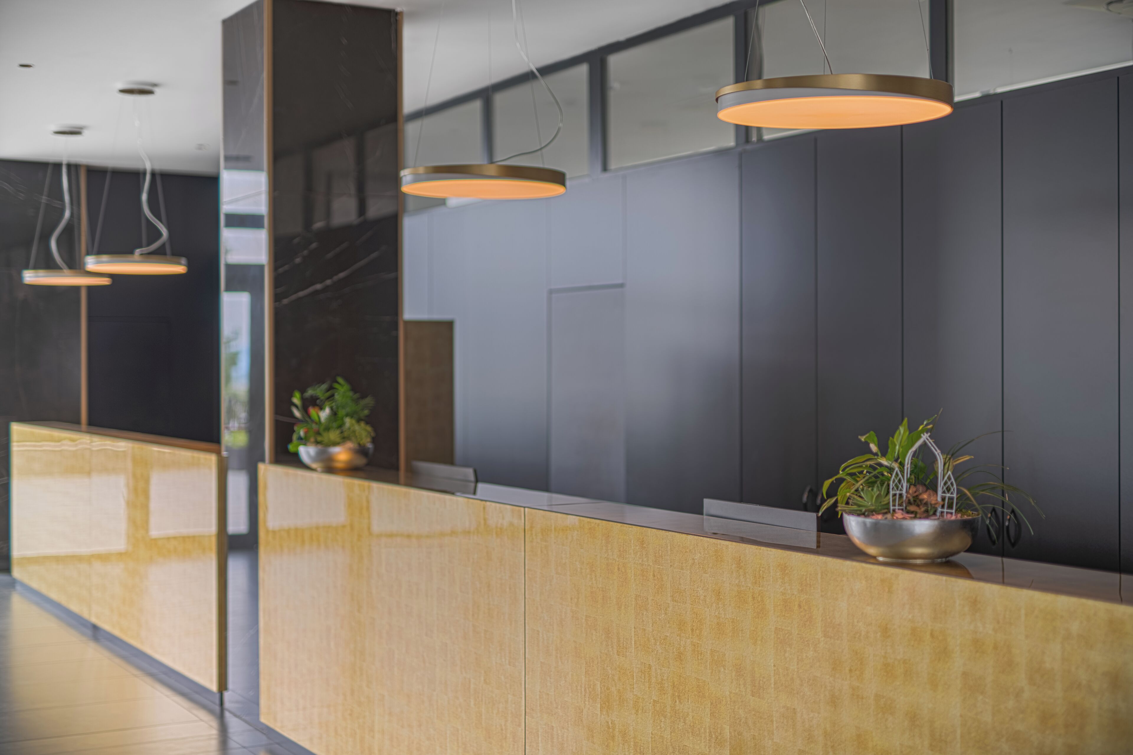 Zona de recepción con mostrador de madera, una planta en maceta e iluminación colgante.