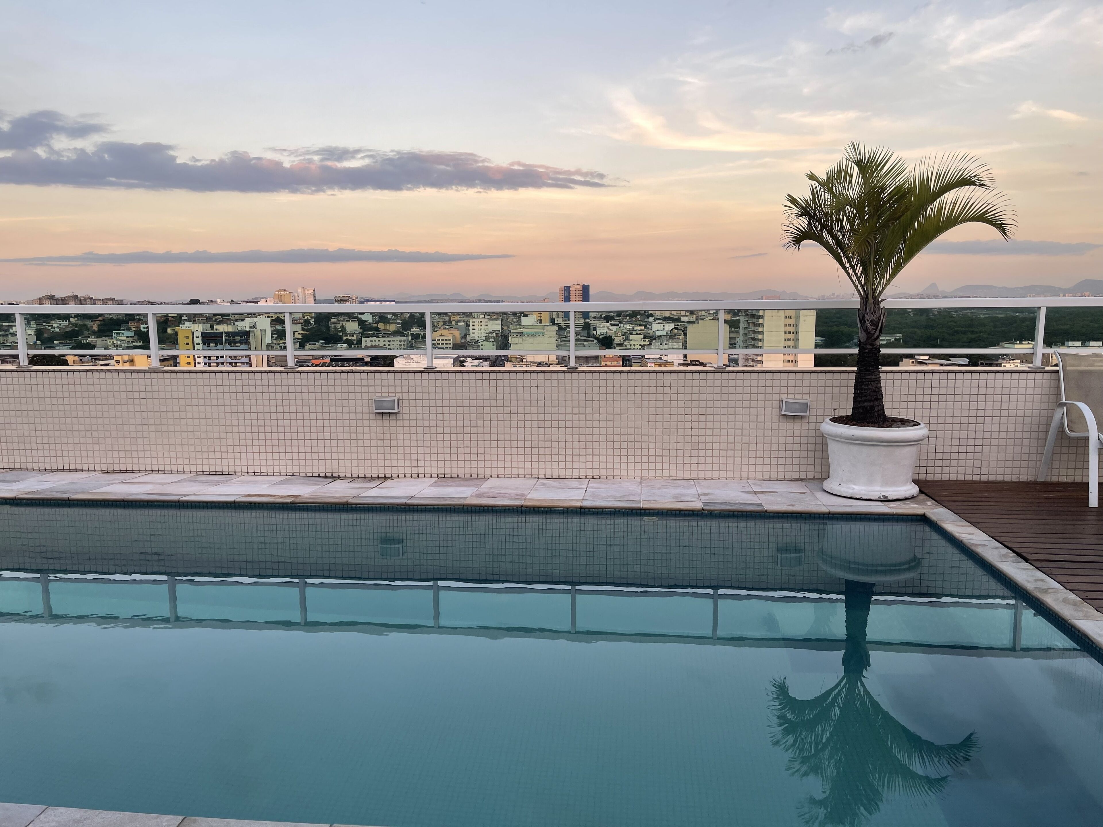 Una piscina en la azotea con una palmera en maceta, paredes con azulejos y vistas a edificios lejanos.
