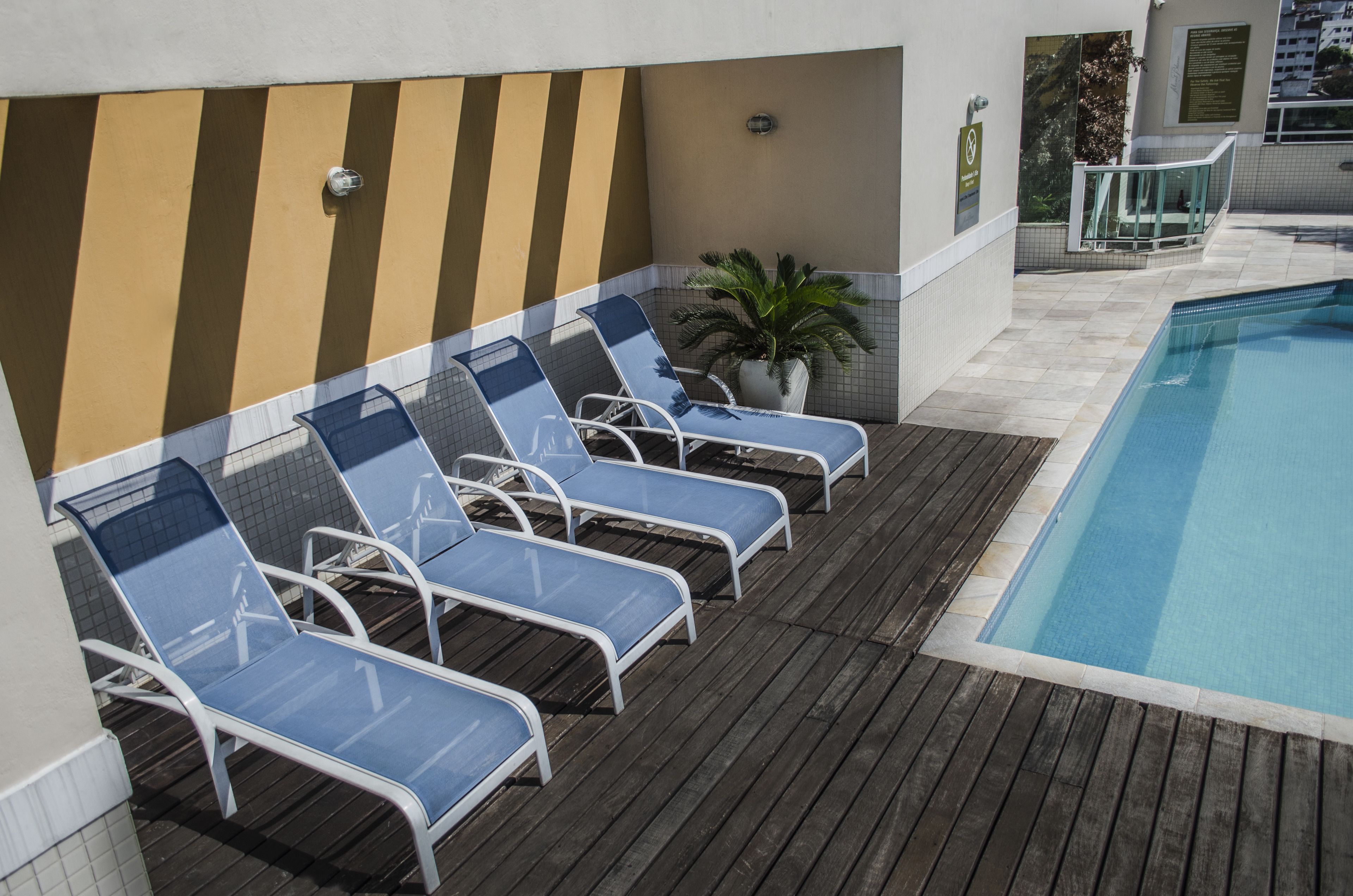 Zona de piscina con sillones de descanso y una planta en maceta.
