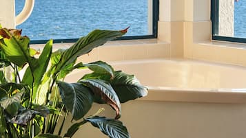 A window with a view of a body of water and a distant cityscape.