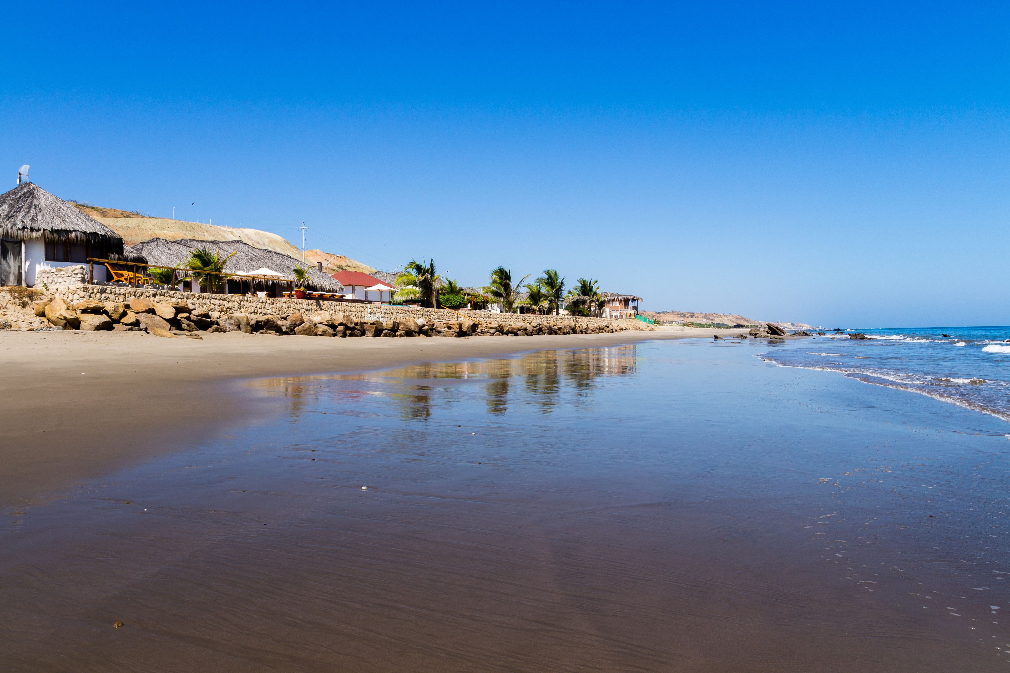A beach with thatched-roof huts and palm trees.