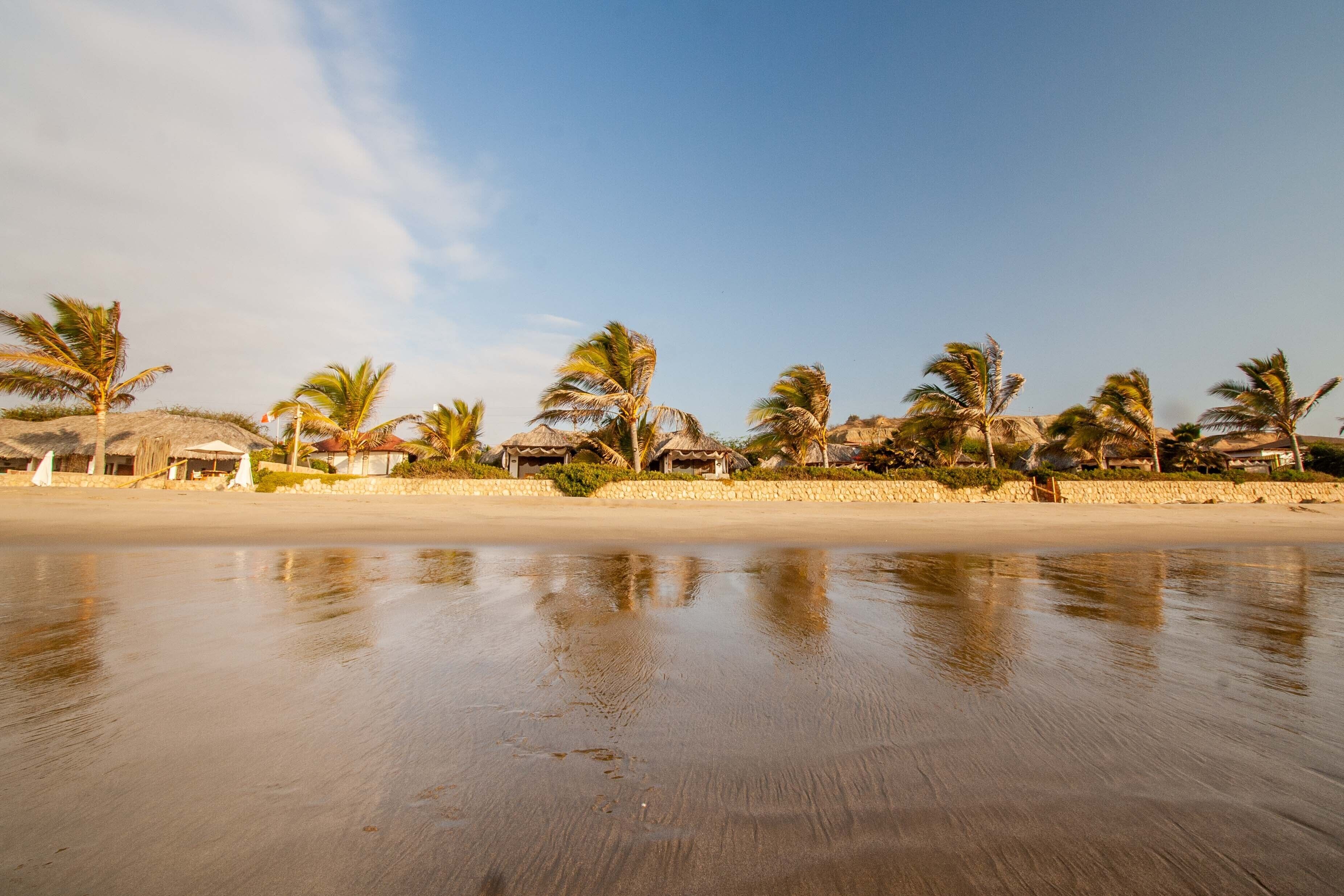 Una playa con palmeras y cabañas de techo de paja.