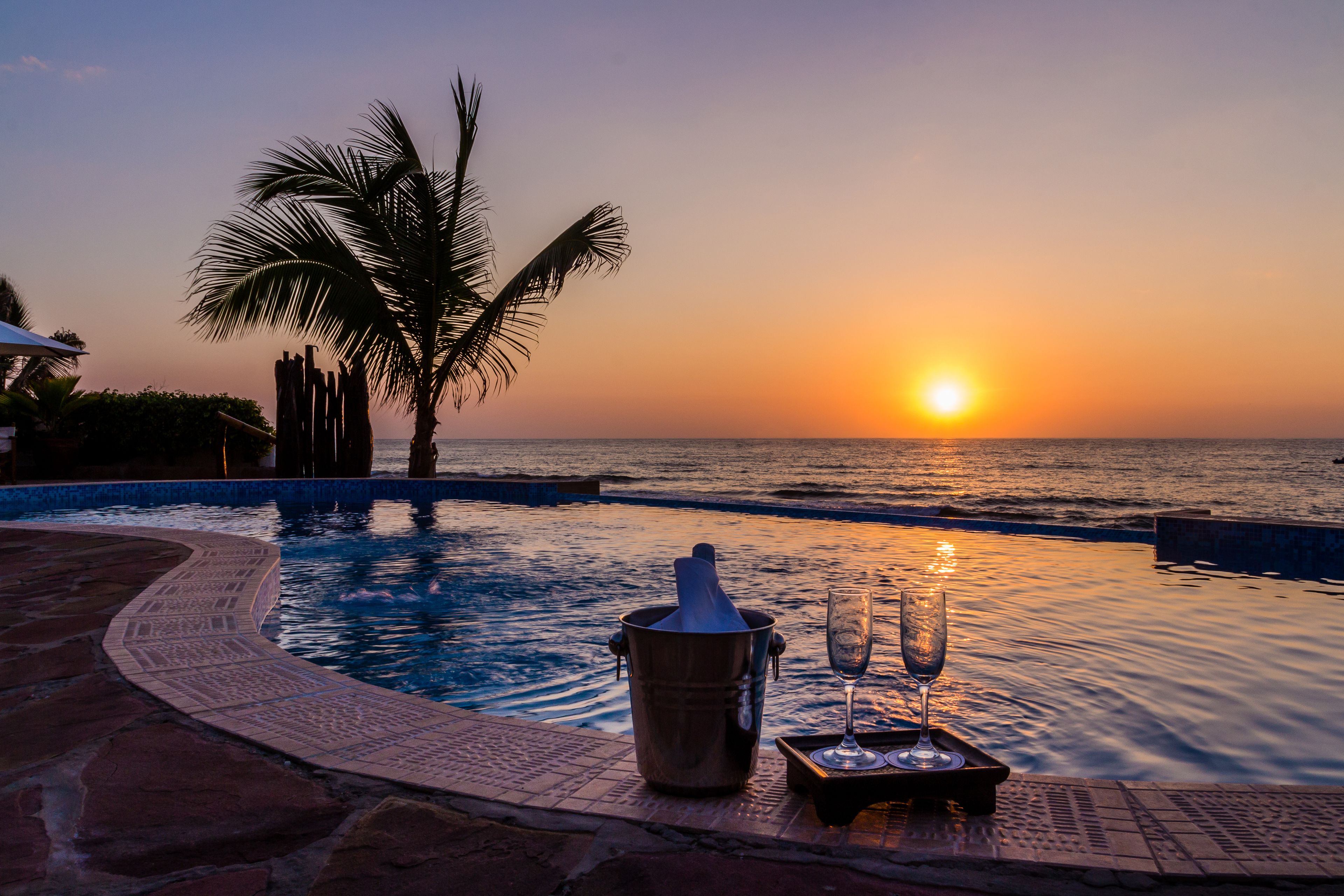 A poolside view with a sunset, a palm tree, and a bucket with a glass.
