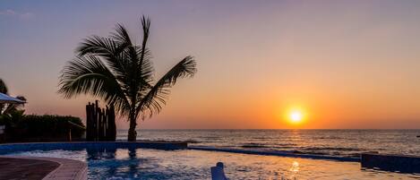 A poolside view with a sunset, a palm tree, and a bucket with a glass.