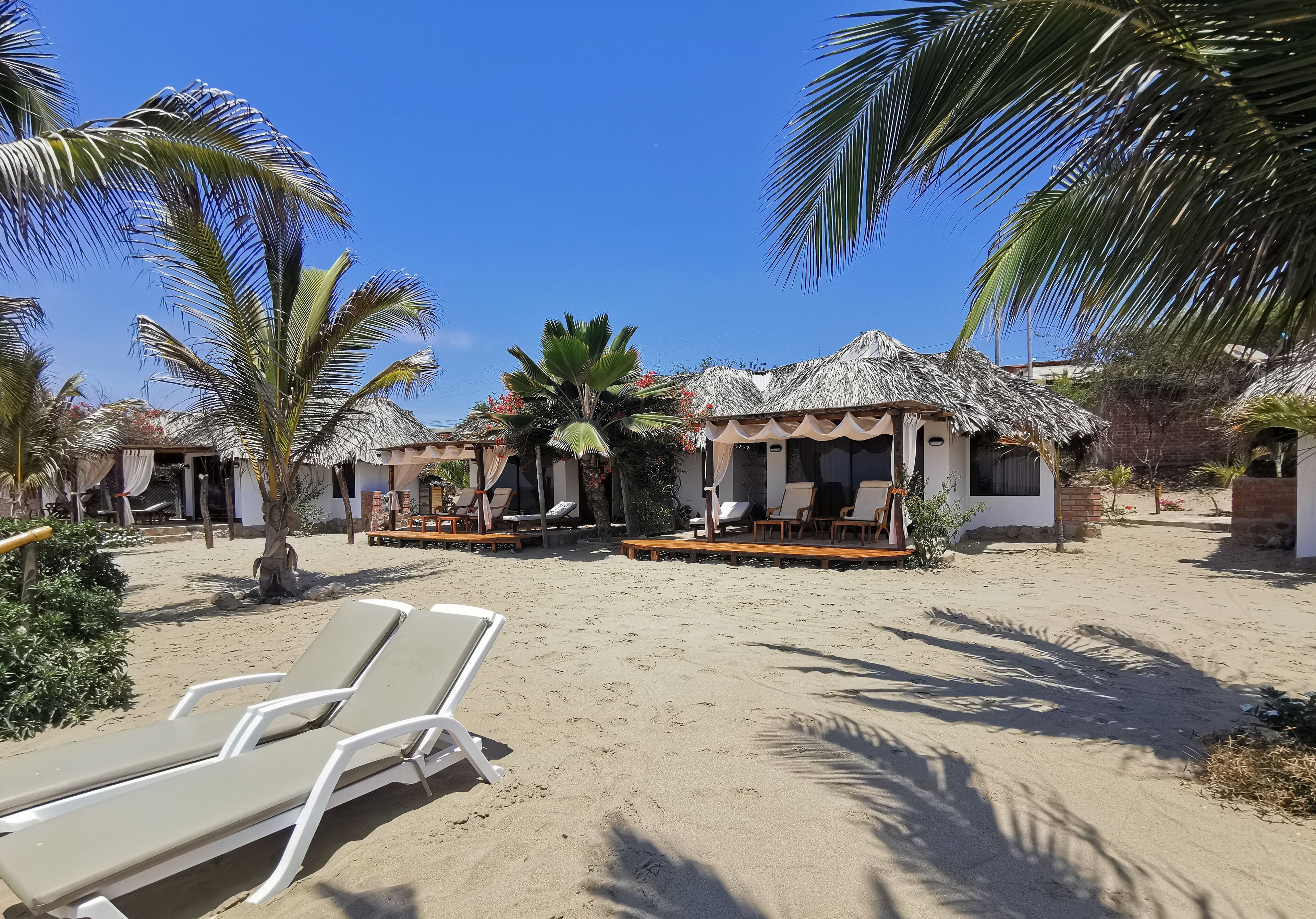 Un resort frente a la playa con cabañas de techo de paja, sillas de descanso y palmeras.
