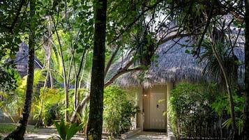 Deluxe Beach Villa with Private Beach | 1 間睡房、迷你吧、房內夾萬、書桌