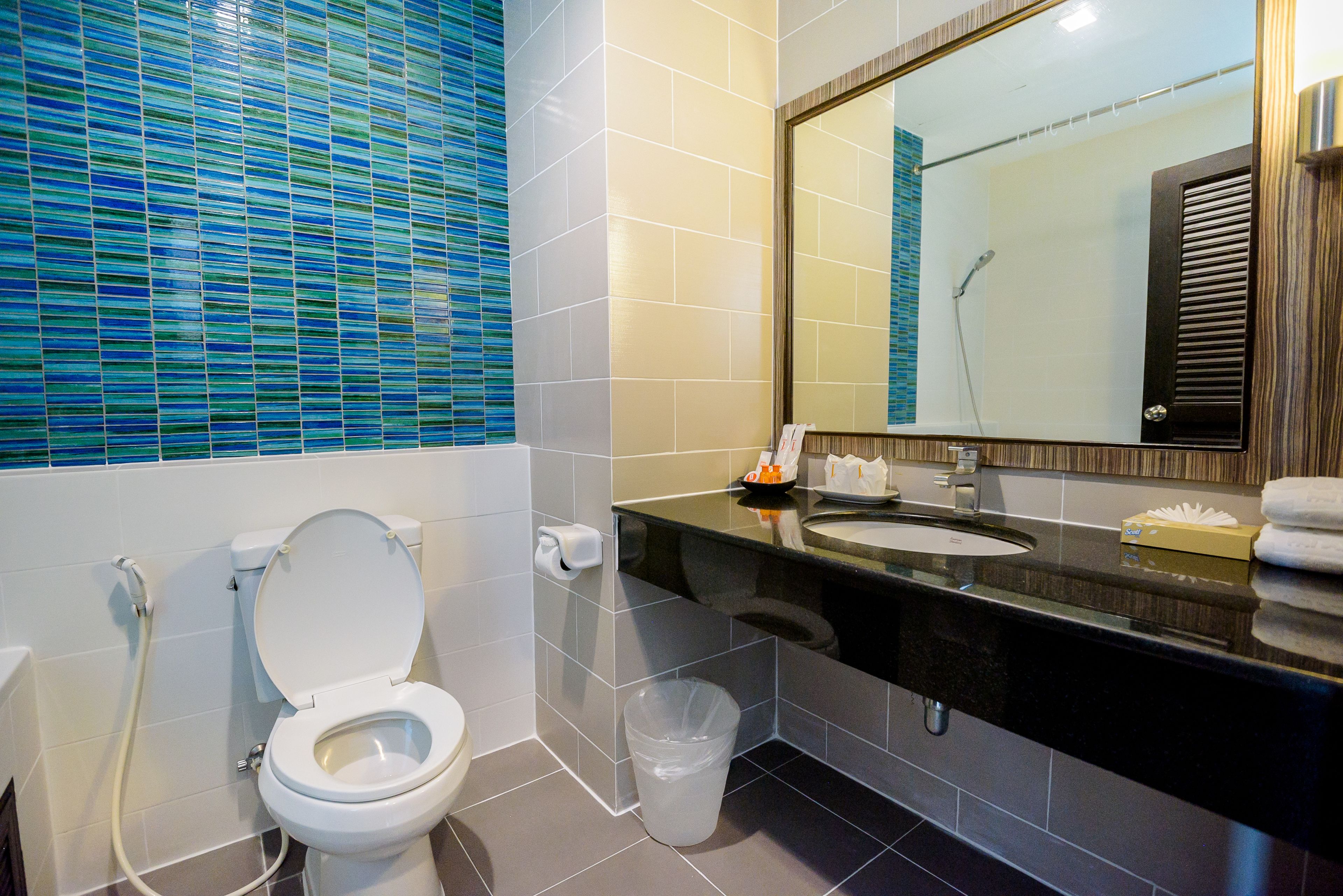 combined shower/bathtub, free toiletries, hair dryer, towels