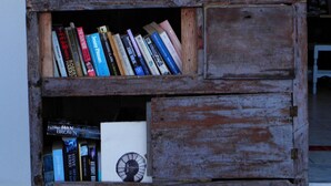 Una estantería de madera rústica con libros y una pequeña planta en maceta.