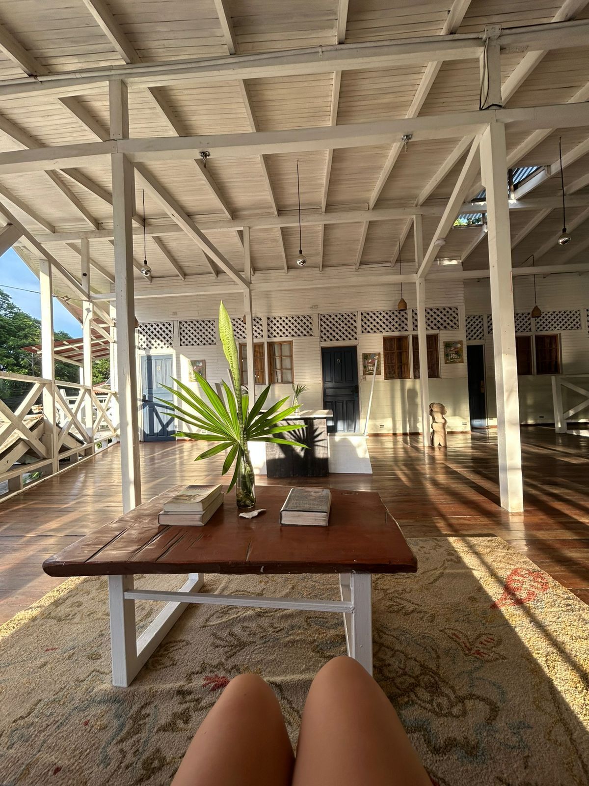 An open-plan interior with a wooden ceiling, a central table with books and a plant, and a view of the outdoors.