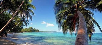 Lizard King Hotel & Suites