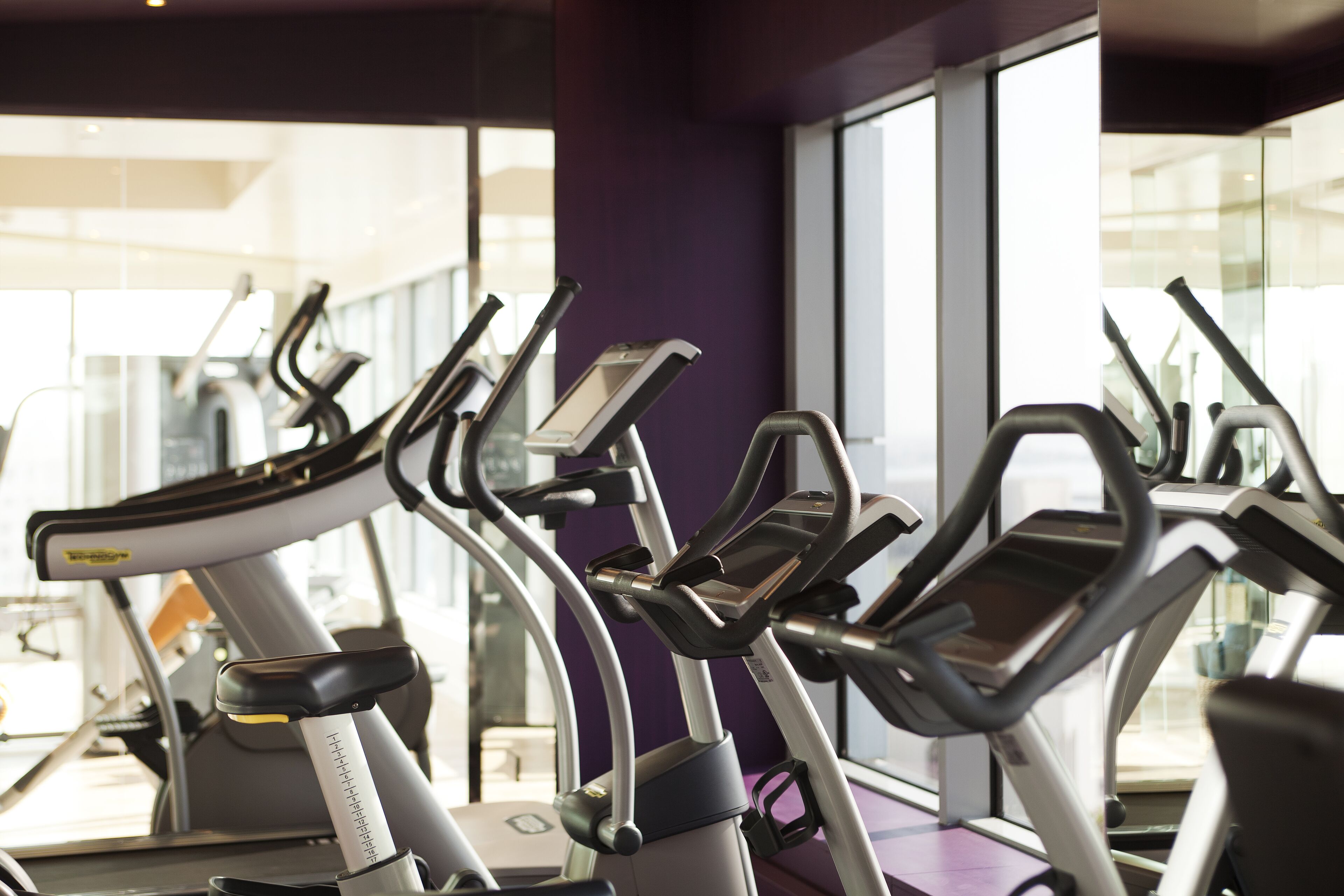 A row of stationary bikes in a gym with large windows and a purple wall.