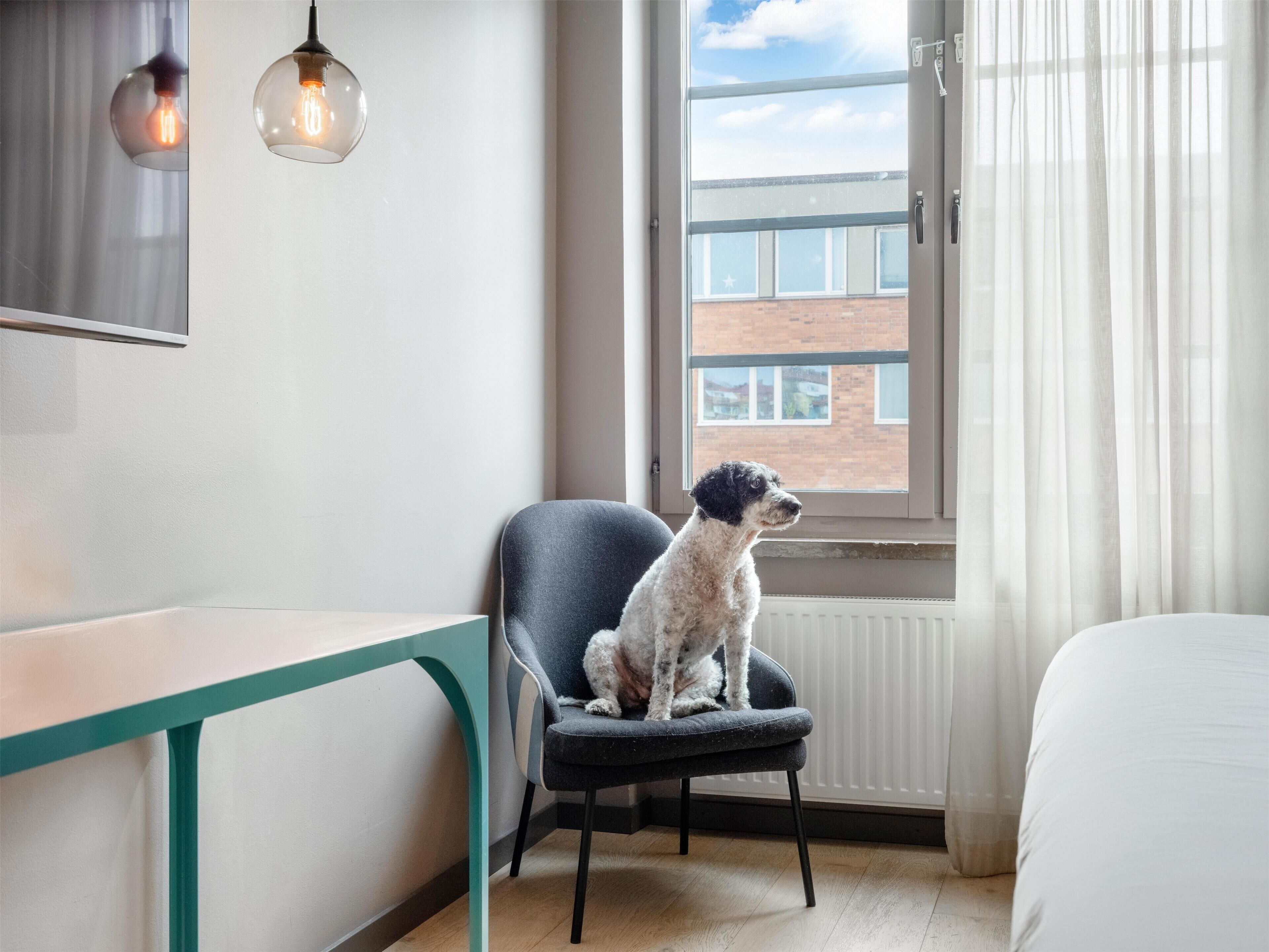 A room with a bed, a chair, a table, a window with a view of buildings, and two hanging light fixtures.