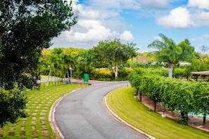 A curved road with a well-maintained lawn on one side and a hedge on the other. - Sybaris Residences (Guayacanes)