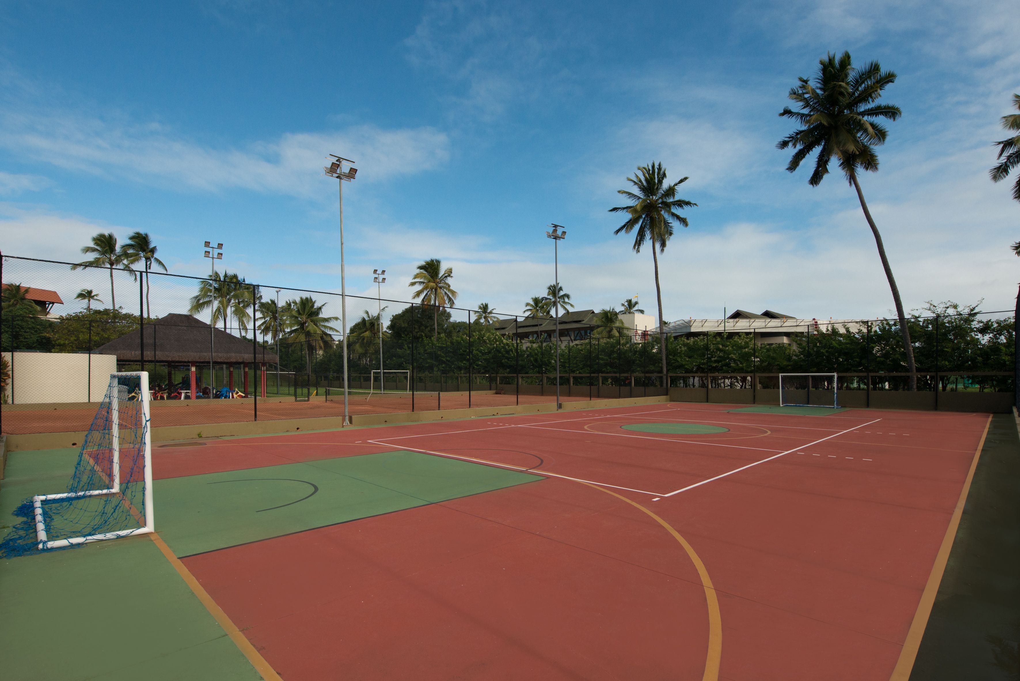 Un terrain de basket en plein air, avec un panier, entouré de palmiers et sous un ciel dégagé.