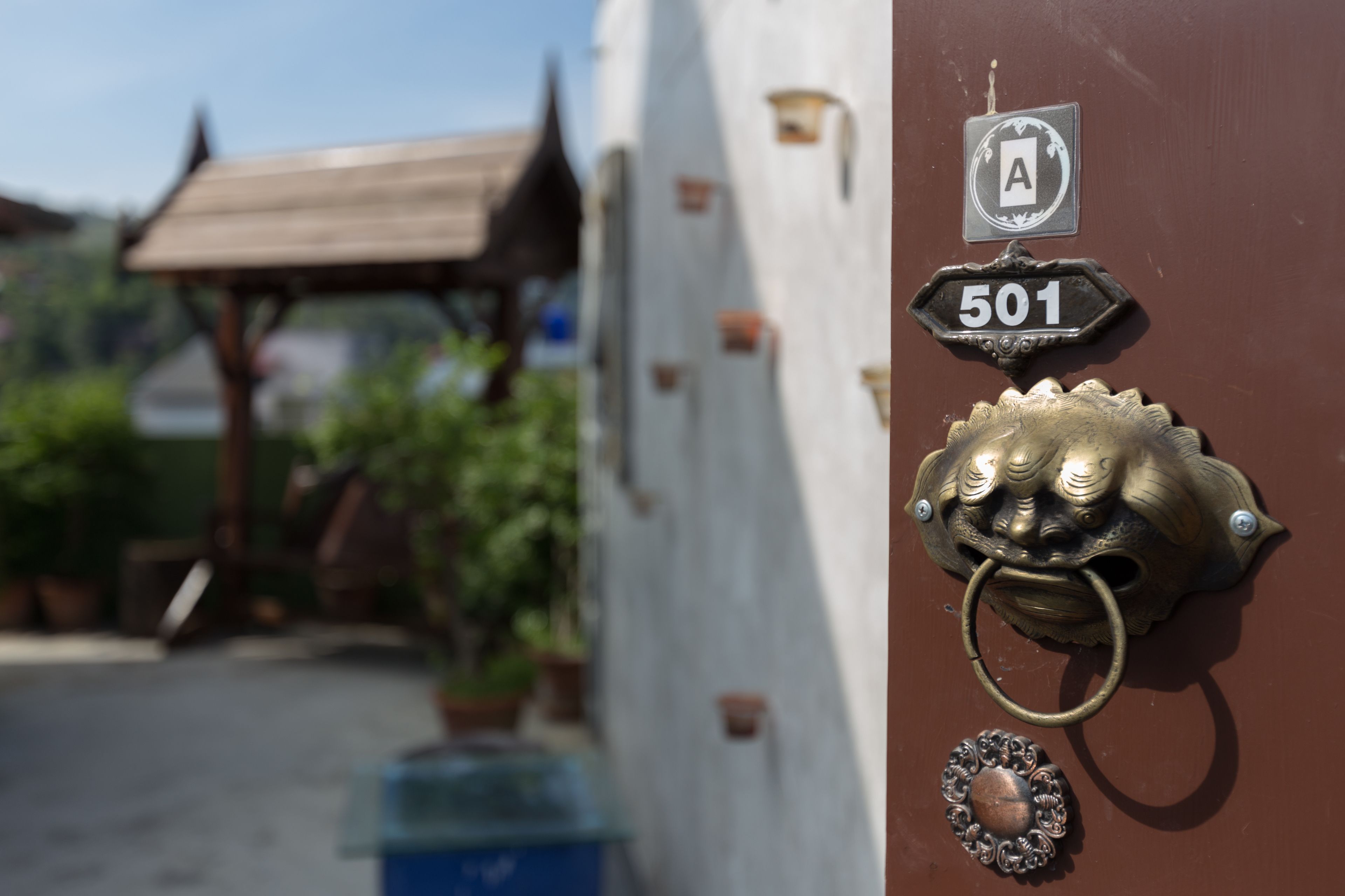 A door with a brass knocker, a number plate, and a small emblem.