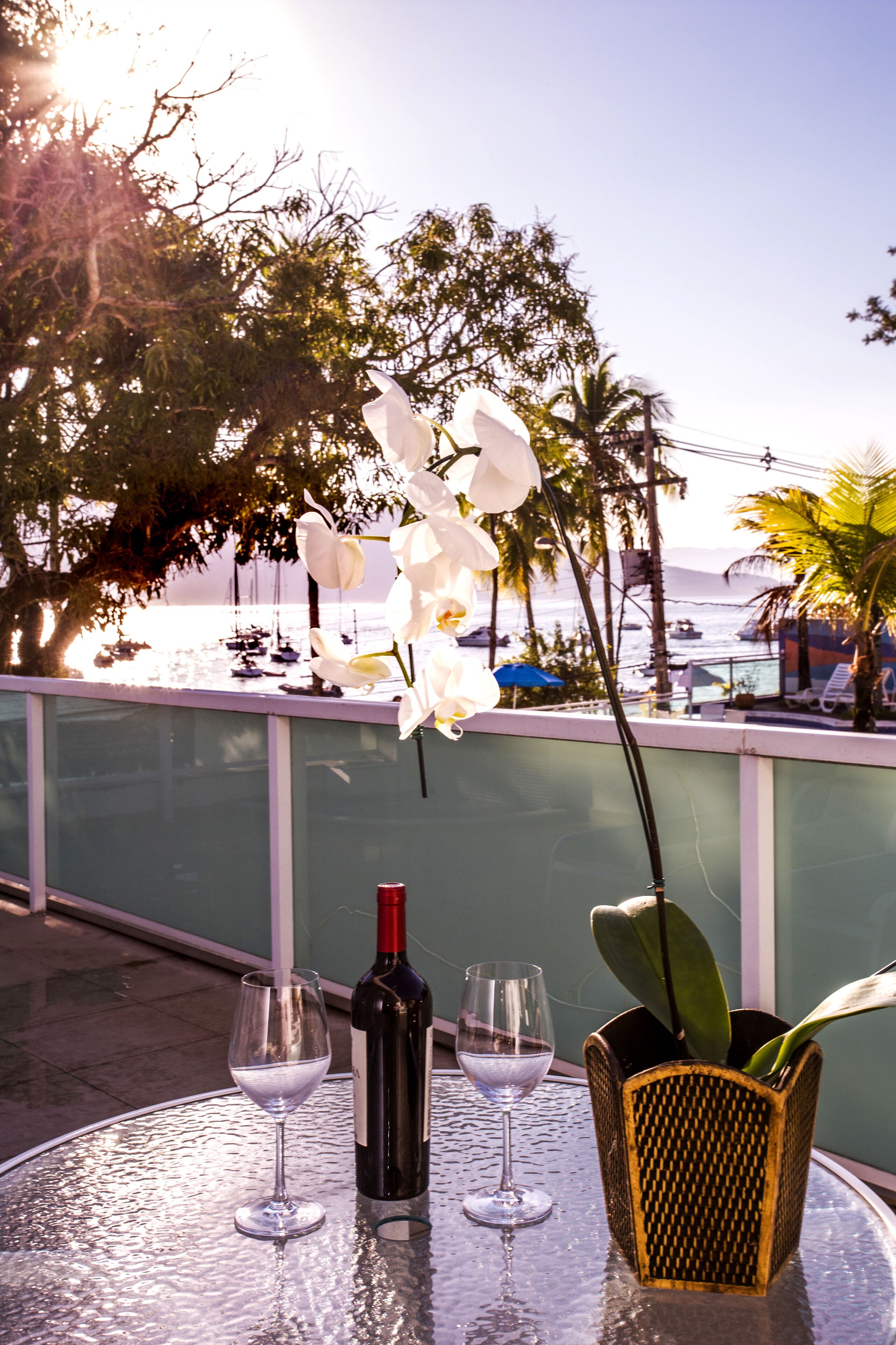 A table with a bottle of wine, two wine glasses, and a potted orchid.