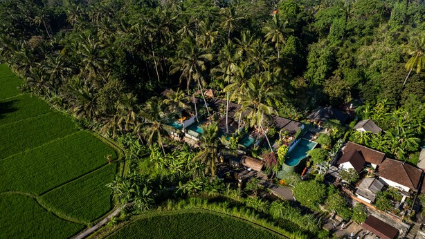 An aerial view of a tropical resort with multiple swimming pools, lush greenery, and a mix of traditional and modern architecture. - Ubud Padi Villas (Ubud)