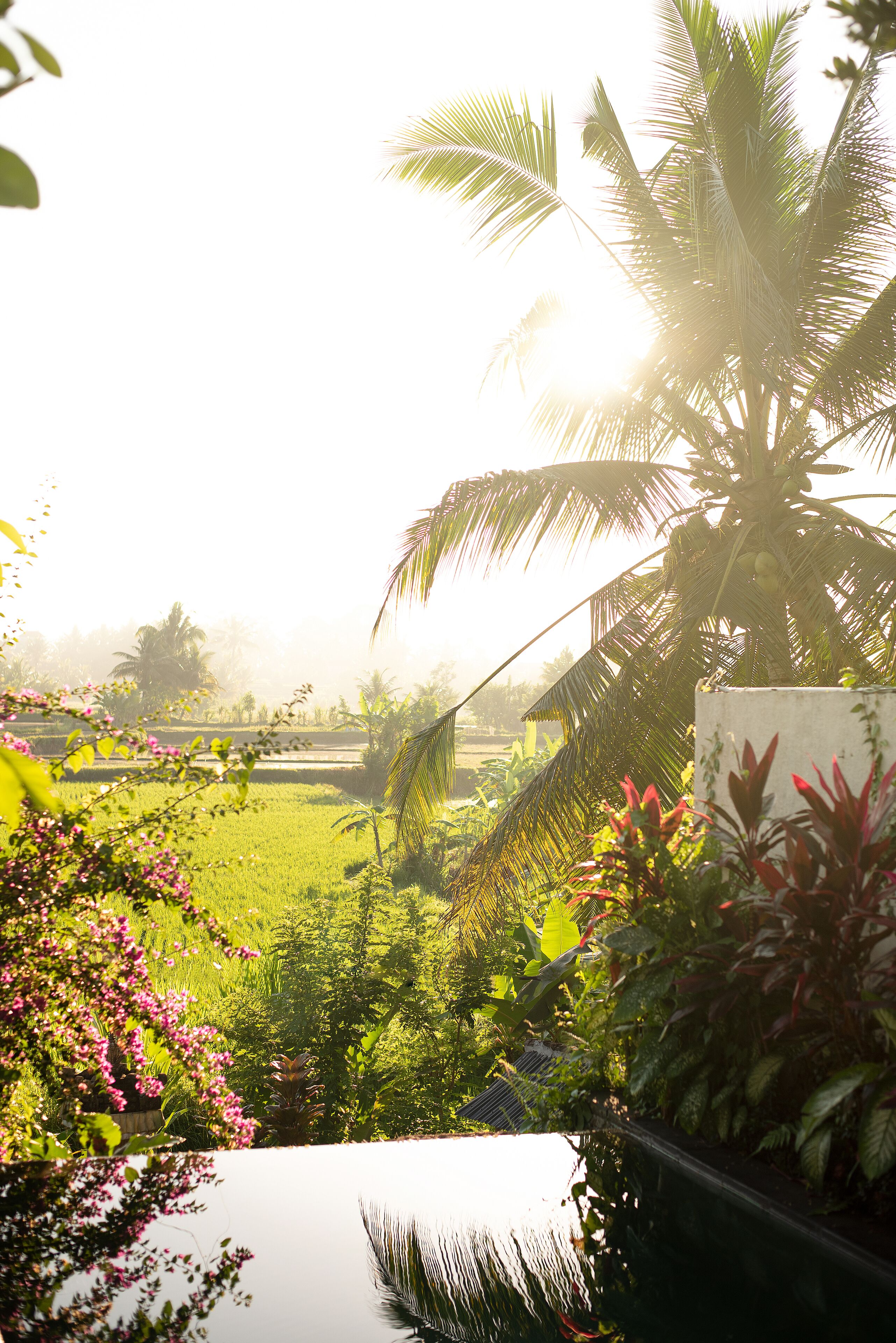 villa, 1 bedroom, private pool (rice field view) | 1 bedroom, minibar, in-room safe, desk