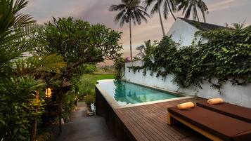 Outdoor pool, sun loungers