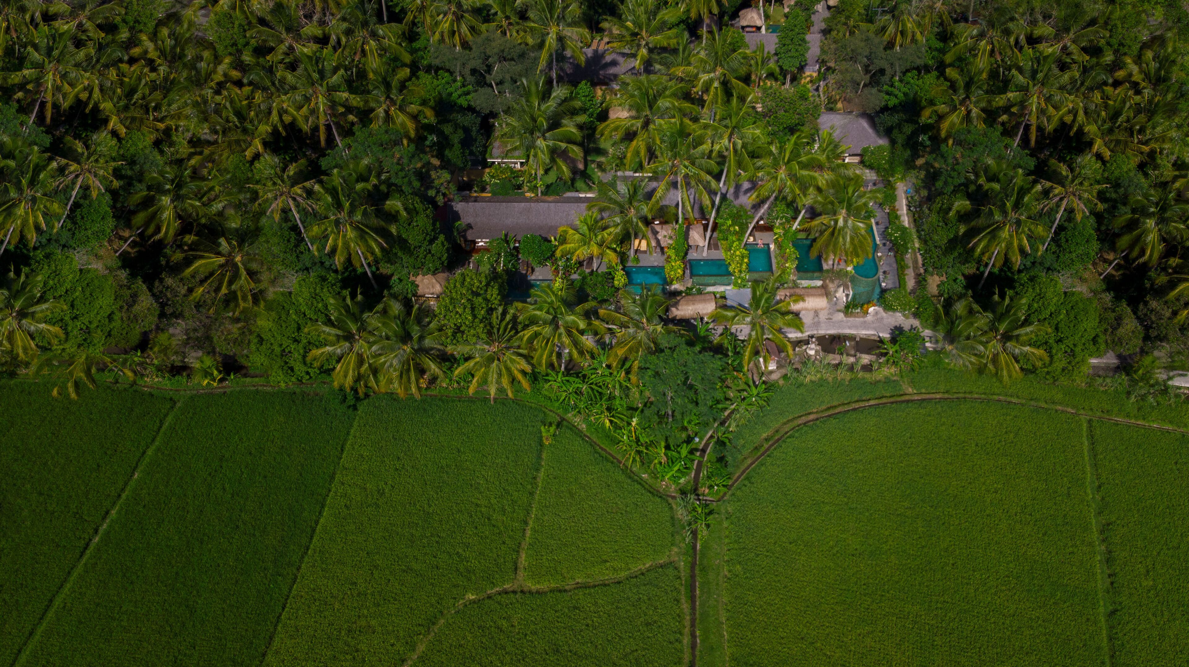 Photo - Ubud Padi Villas