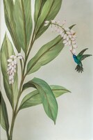 Una pintura de un pájaro alimentándose de flores.
