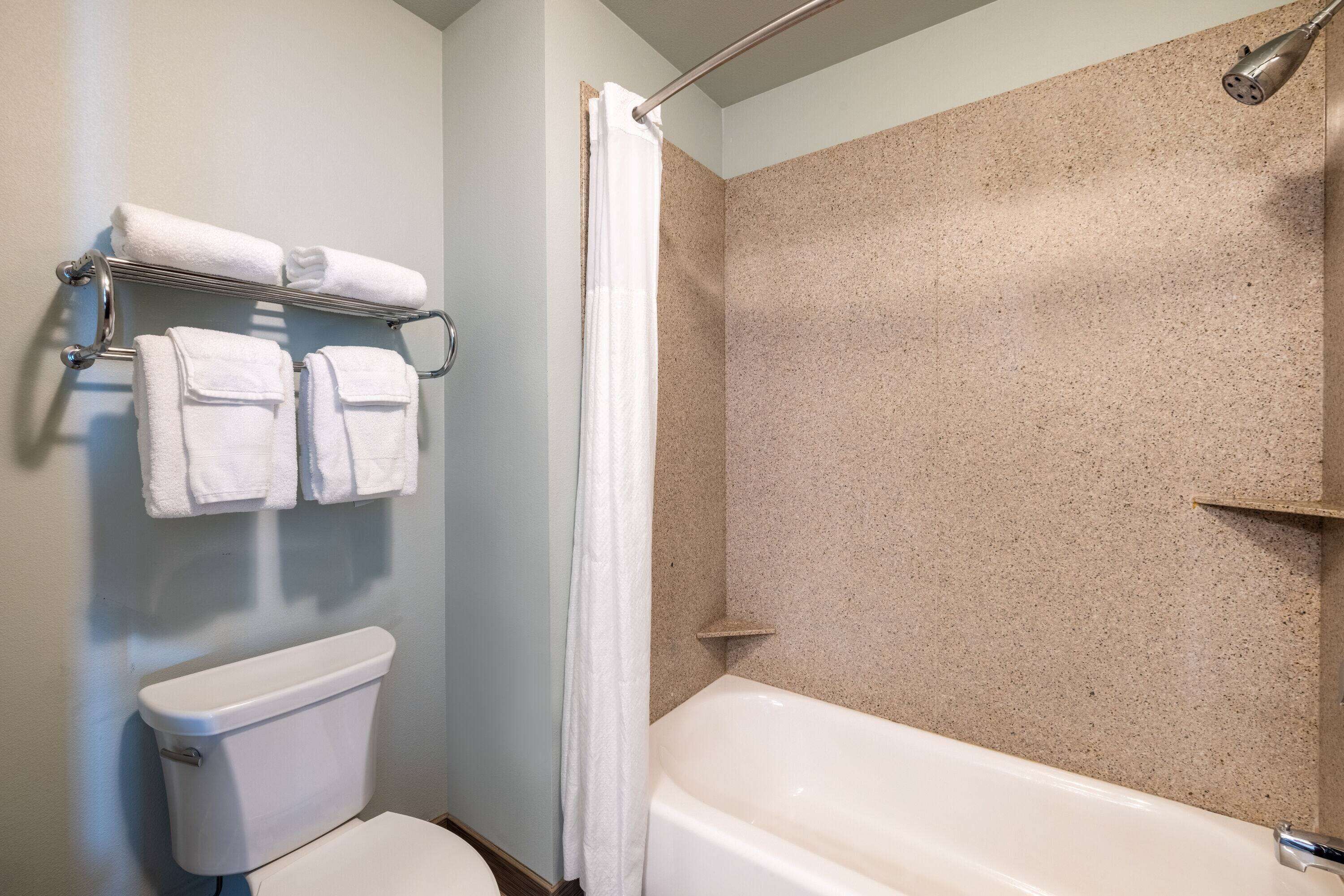 combined shower/bathtub, free toiletries, hair dryer, towels