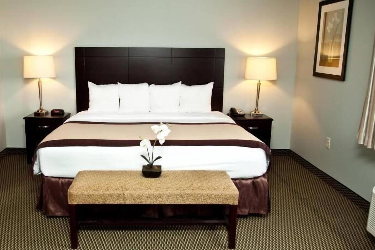 Une chambre d’hôtel avec un grand lit, deux tables de chevet avec des lampes, un banc et une plante en pot.