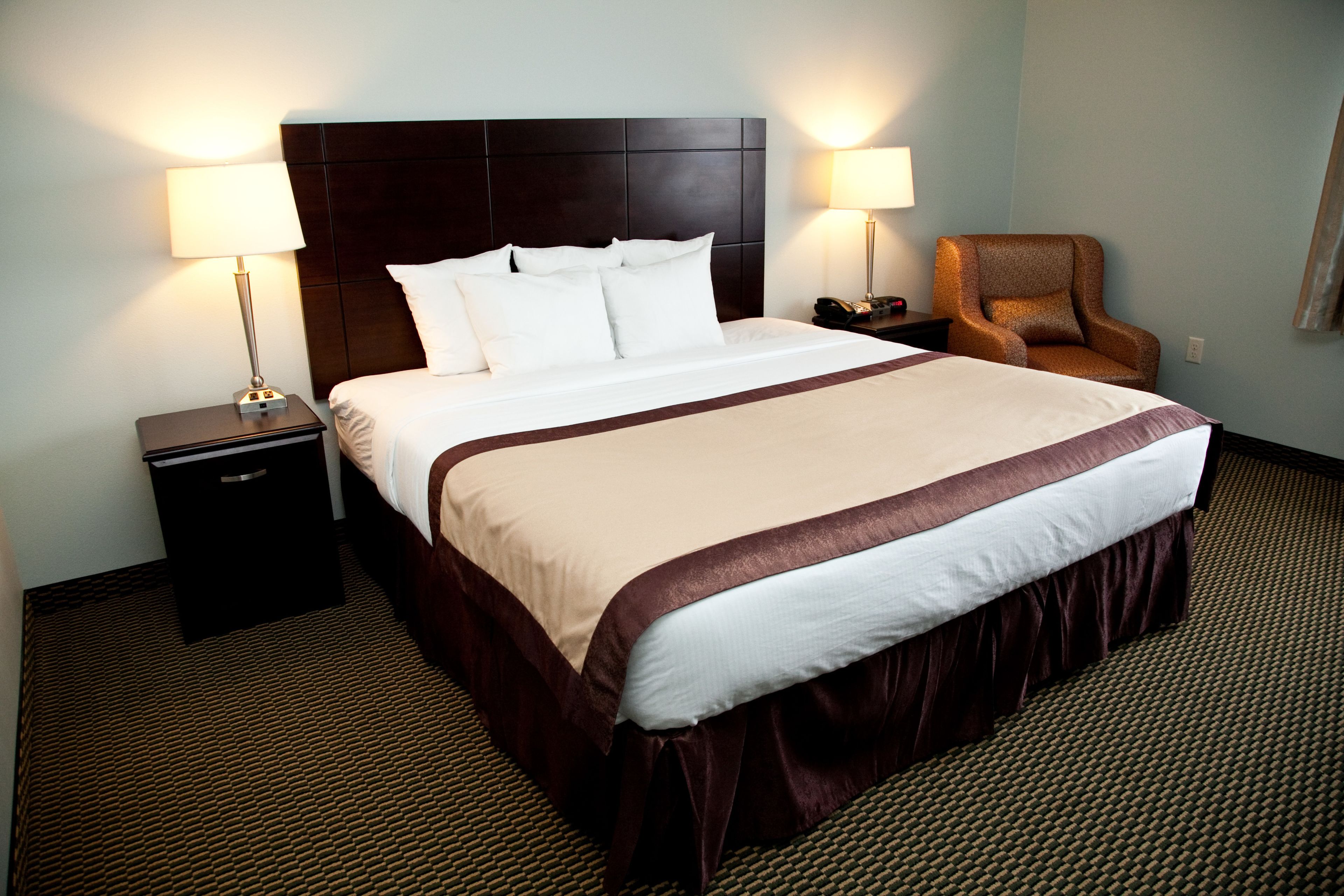 Room, 1 King Bed, Accessible, Non Smoking (Roll-in Shower) | In-room safe, desk, iron/ironing board, free cribs/infant beds