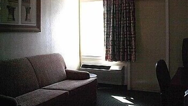 Ein Zimmer mit einer Couch, einem Fenster mit Vorhängen, einem Heizkörper und einem gerahmten Bild an der Wand.