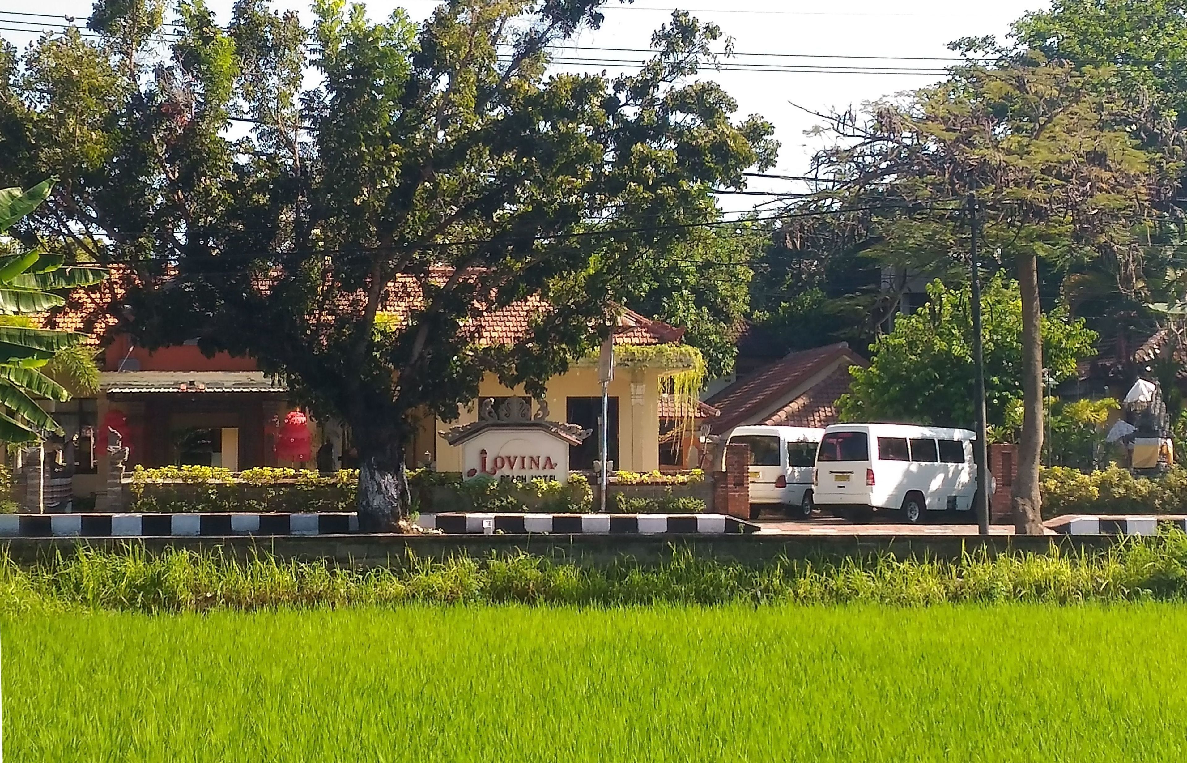 Photo - Lovina Beach Hotel