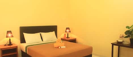 Habitación de hotel con cama, dos mesitas de noche, una mesita auxiliar, una pequeña mesa con planta y un equipo de aire acondicionado.