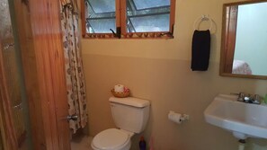 Shower, free toiletries, towels - River Side House (Soufrière)