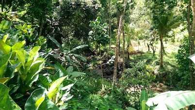 River Side House