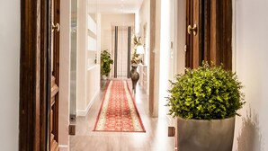Un couloir avec un tapis rouge, des portes en bois et une grande plante en pot.