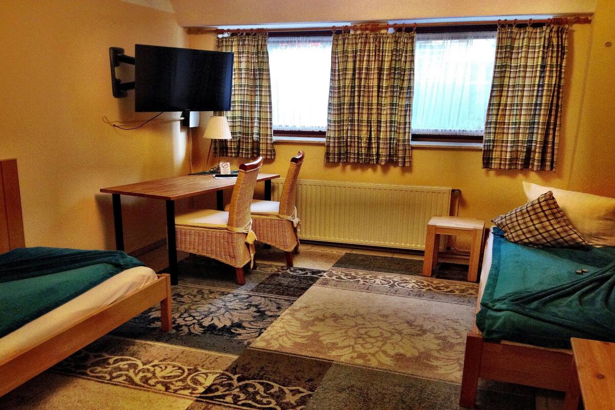 Economy Double or Twin Room | In-room safe, desk, soundproofing, free WiFi