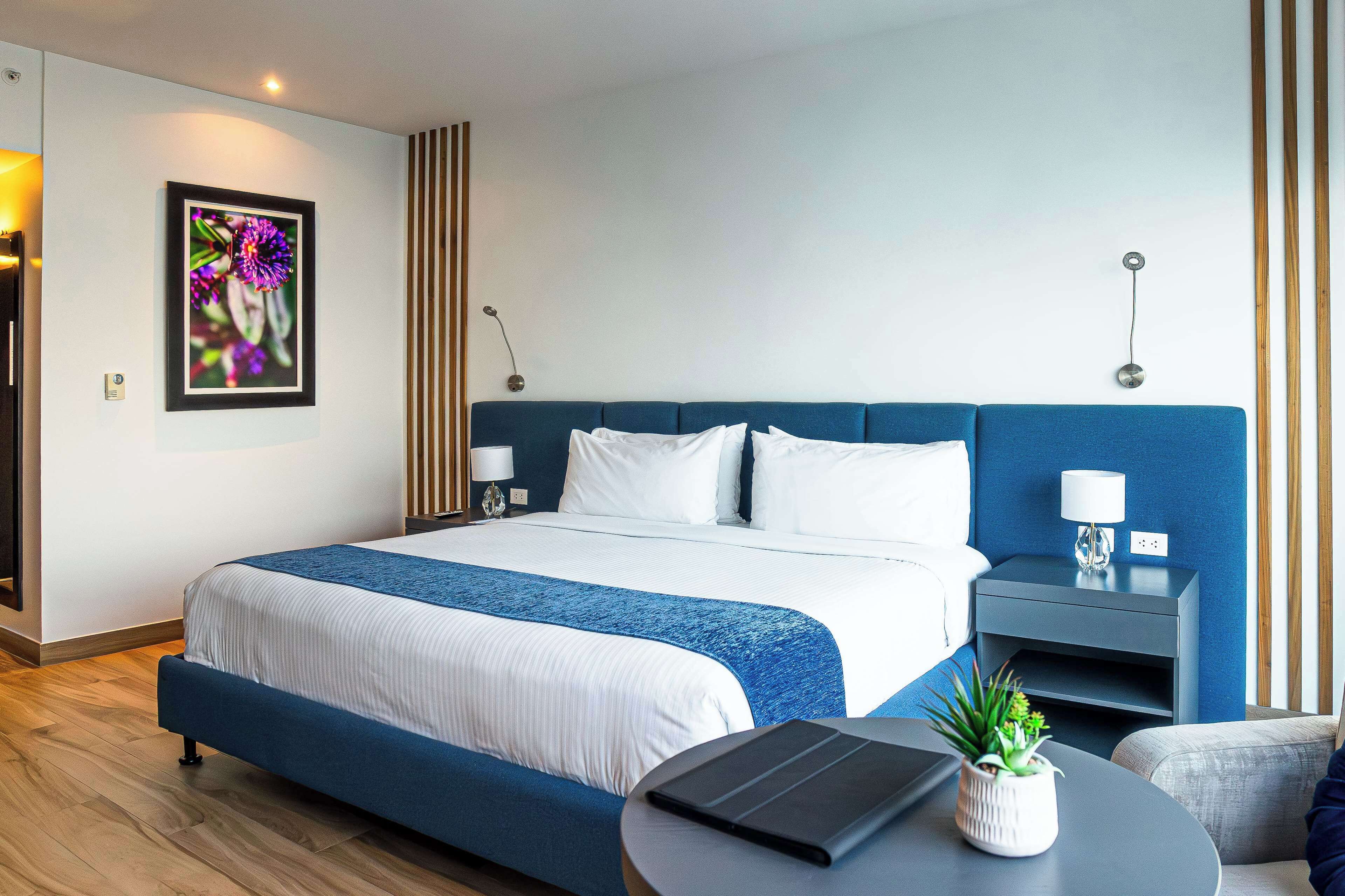 Une chambre d’hôtel moderne avec un grand lit, une table de chevet, une lampe, une petite plante et un ordinateur portable posé sur une table ronde.