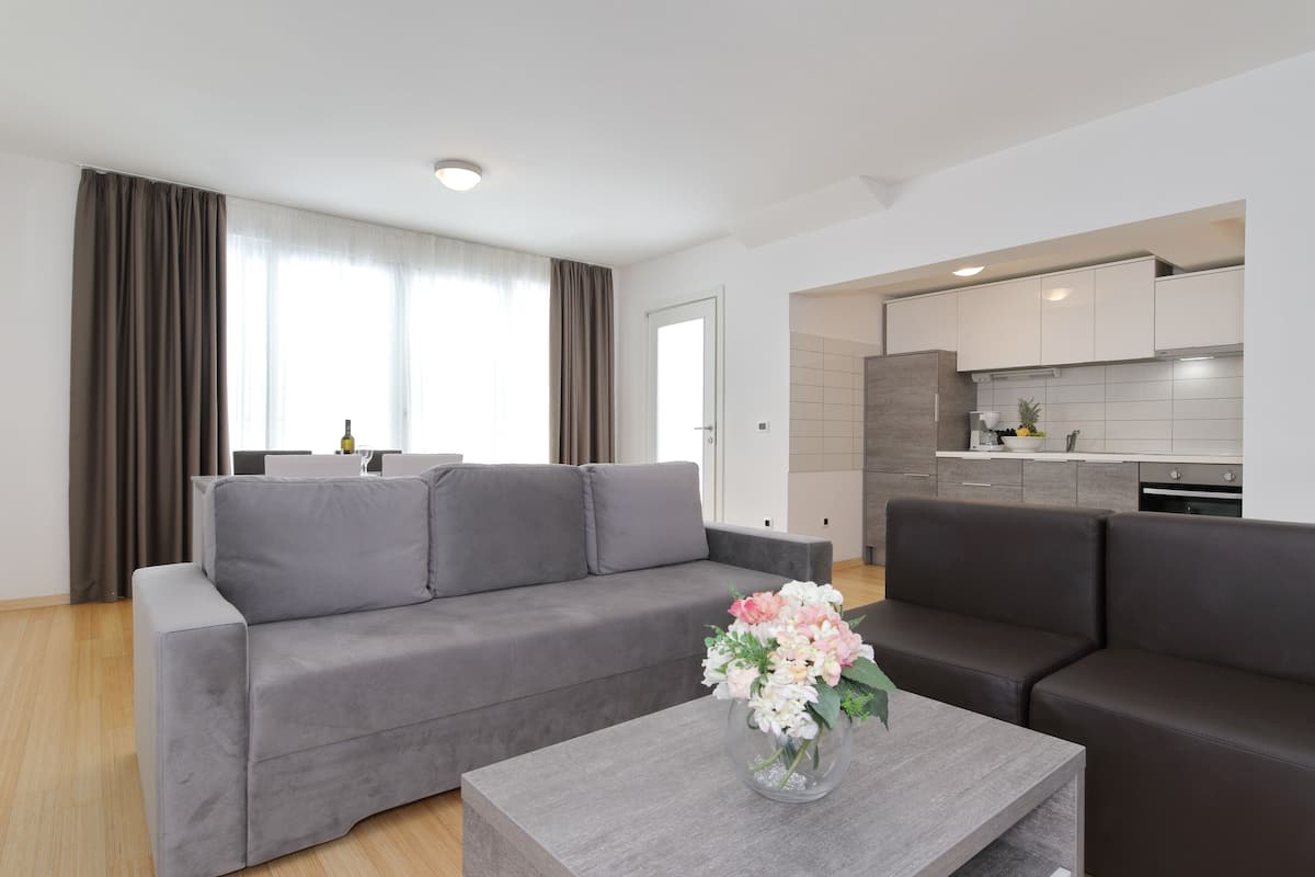 Comfort Apartment, 1 Bedroom, Terrace | Living area | LCD TV